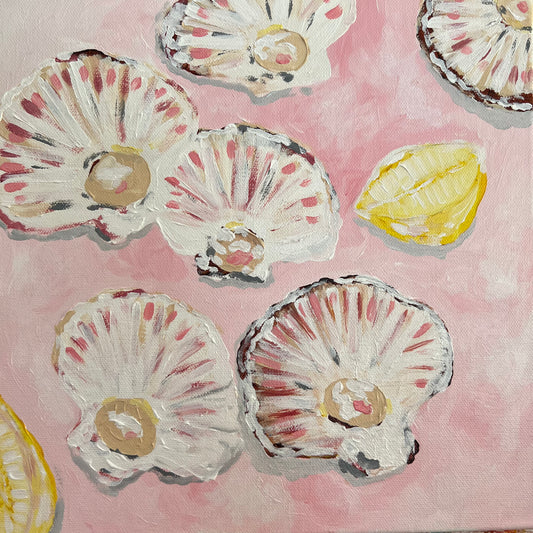 “Pink scallops”